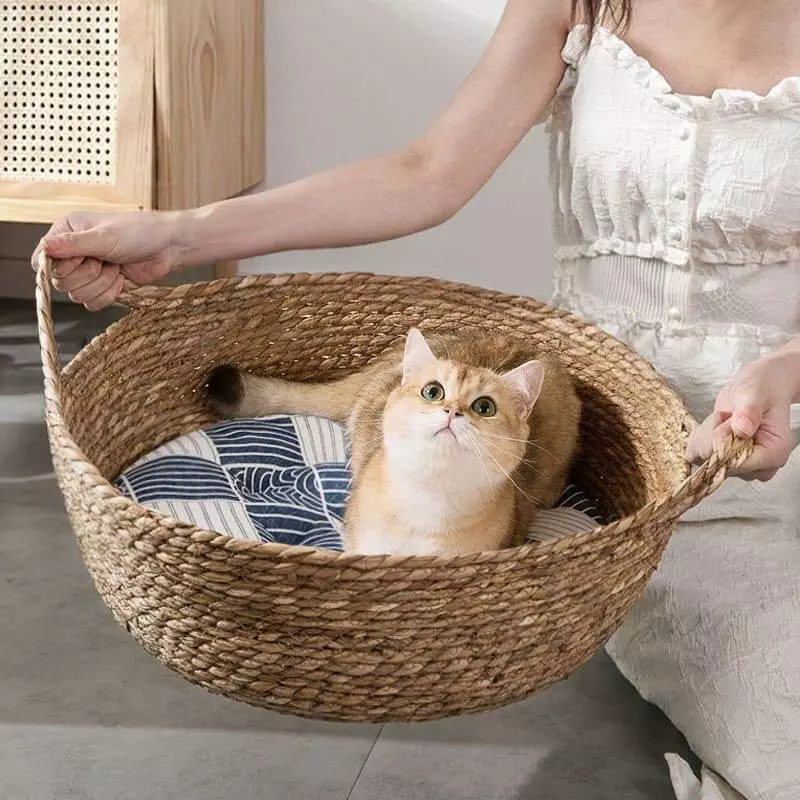 great and small wicker cat bed 564