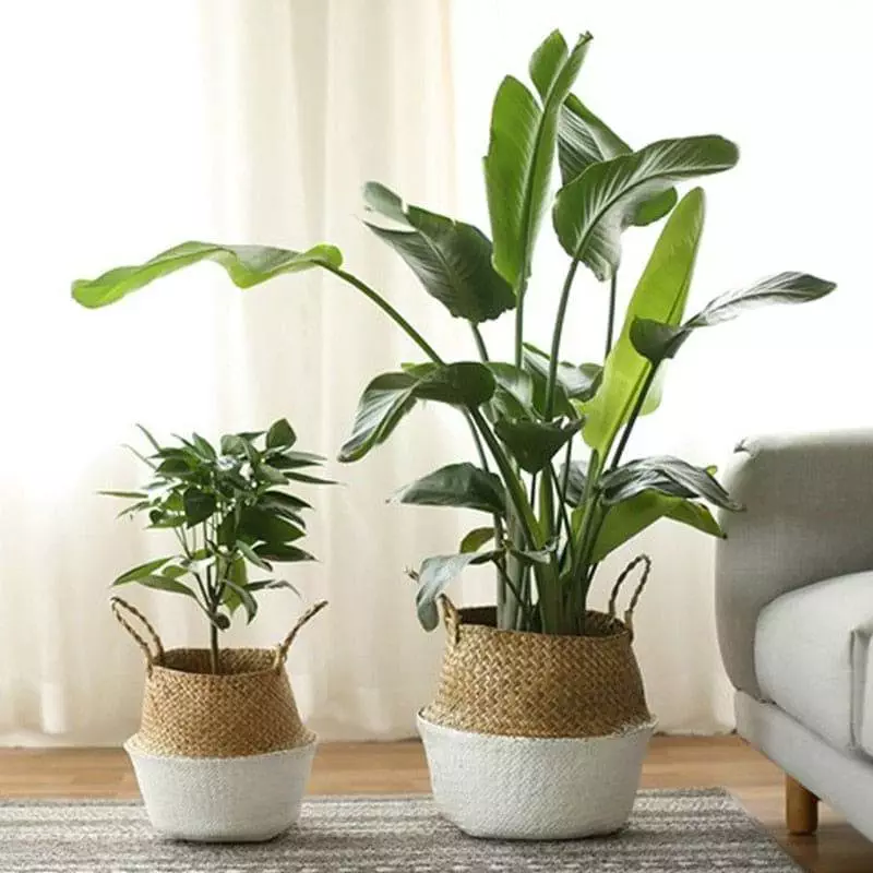 wicker indoor plant pots 139
