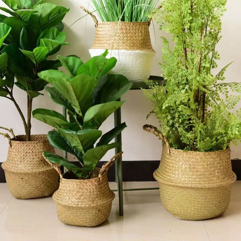 wicker indoor plant pots 317