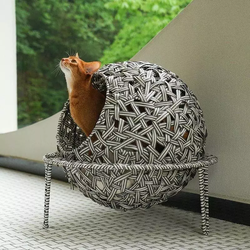 elevated cat bed wicker 664