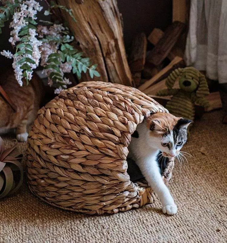 wicker igloo cat bed 948