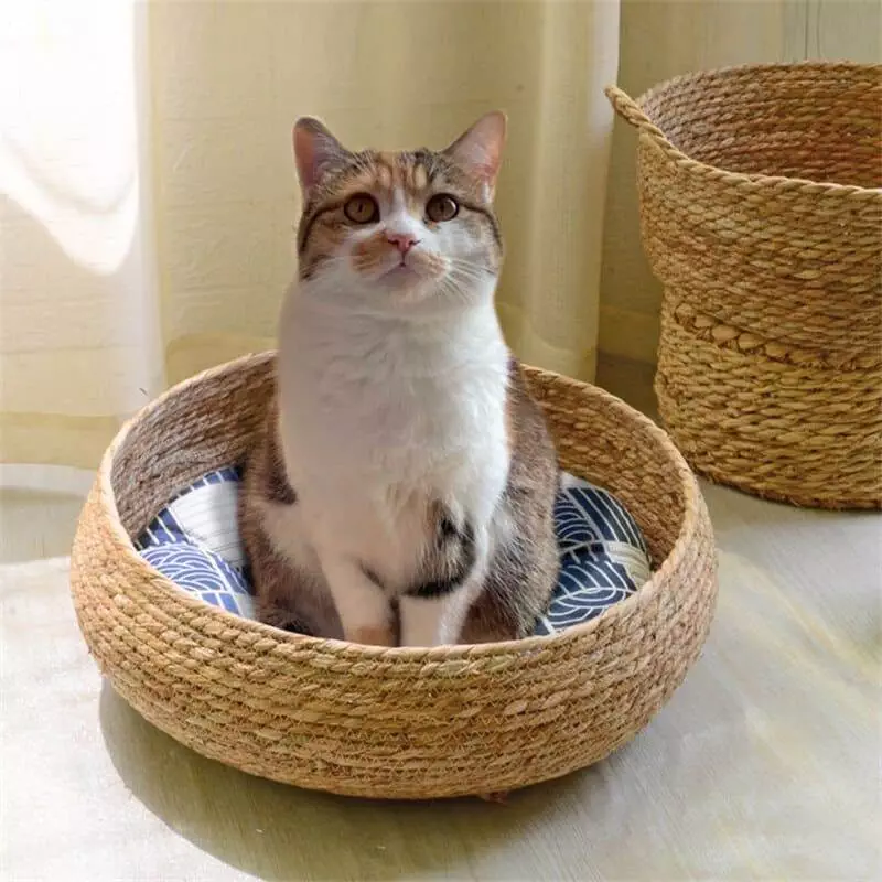 wicker pet beds for cats 650