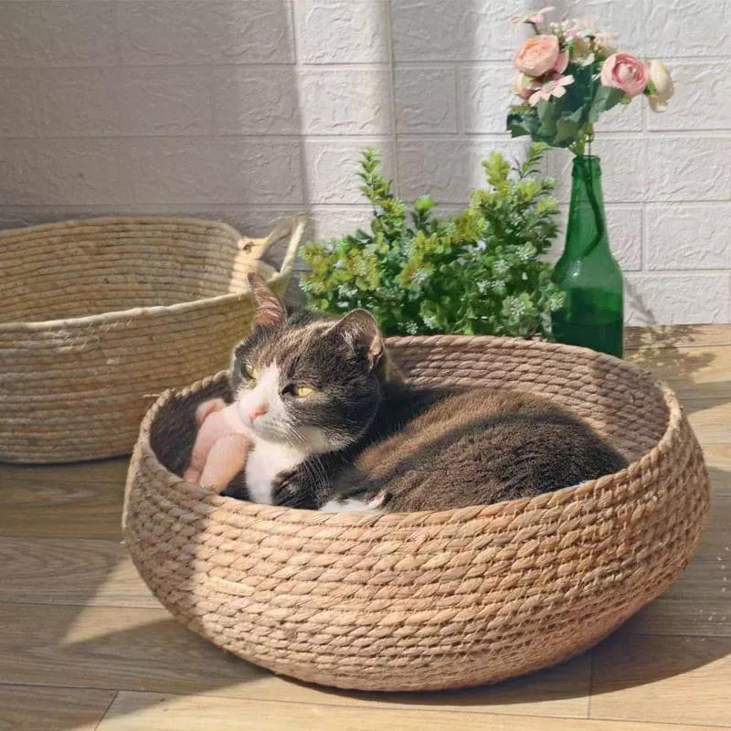 wicker pet beds for cats 700
