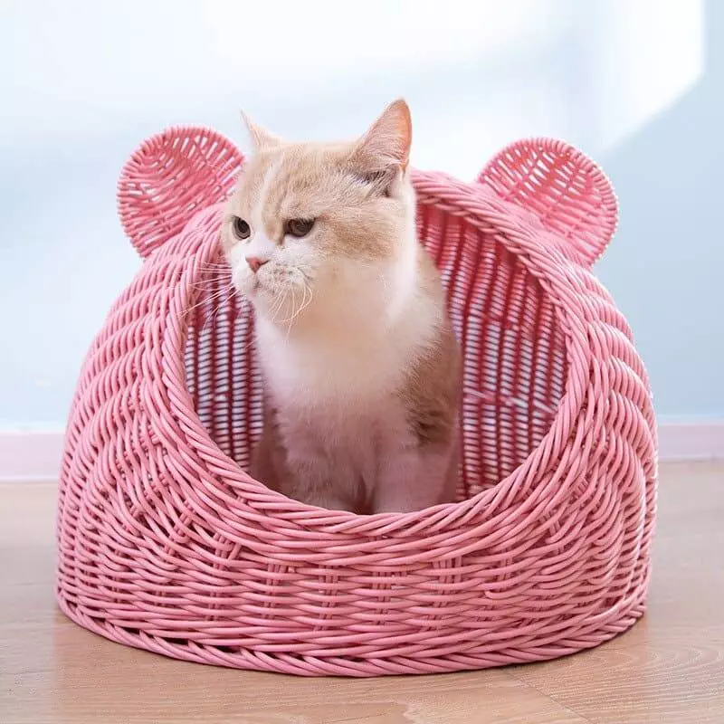 Dome cat bed best sale